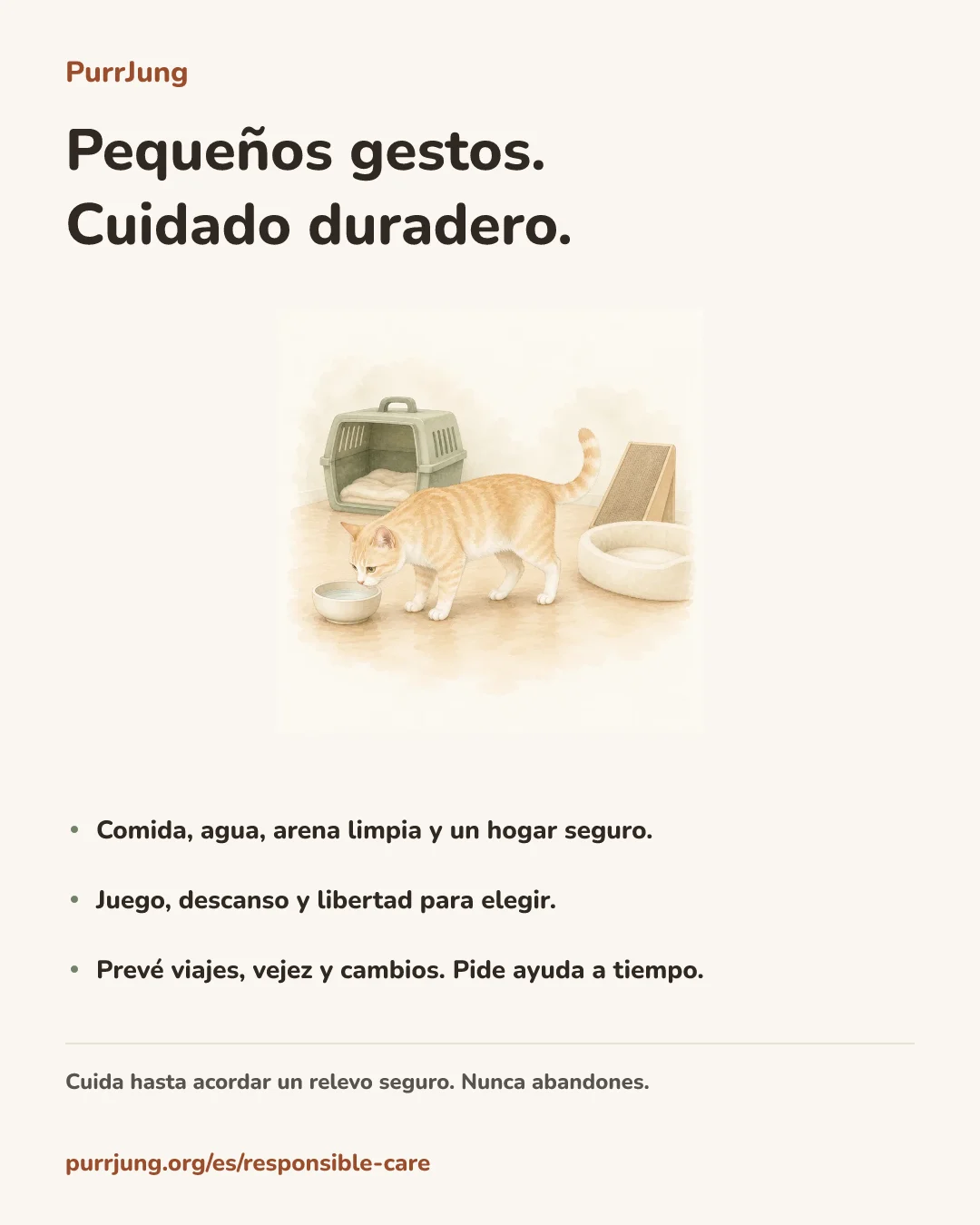Pequeños gestos. Cuidado duradero.