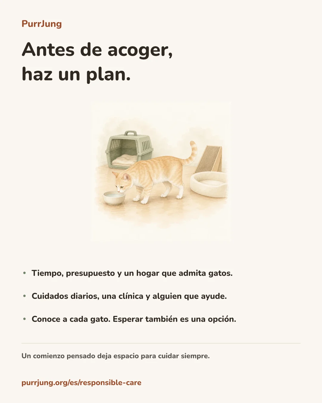 Antes de acoger, haz un plan.