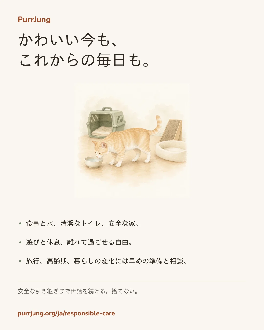 かわいい今も、 これからの毎日も。
