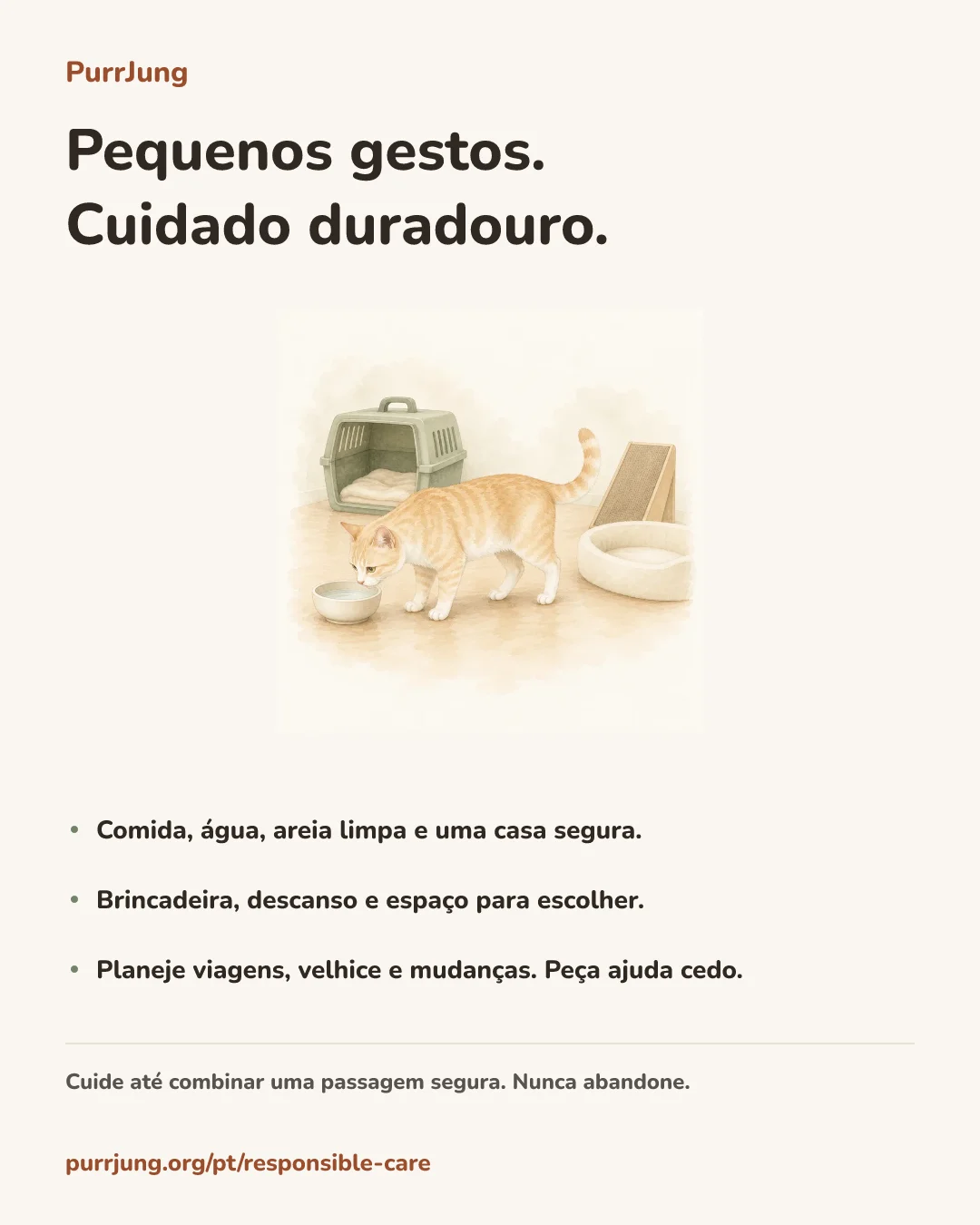 Pequenos gestos. Cuidado duradouro.