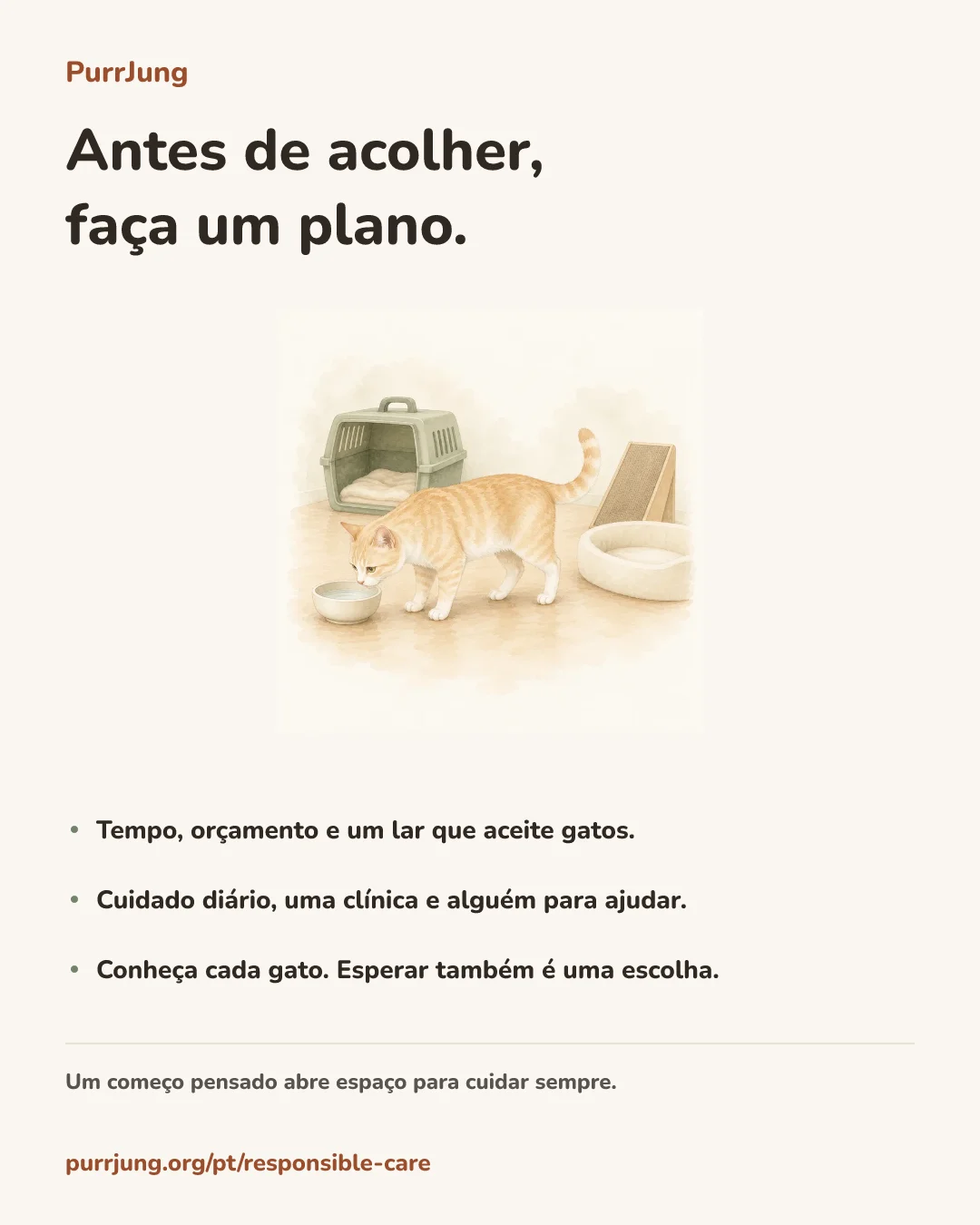 Antes de acolher, faça um plano.