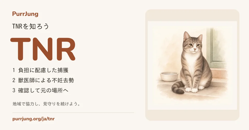 TNRを知ろう