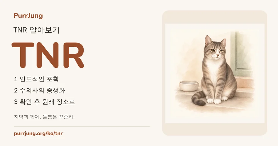 TNR 알아보기
