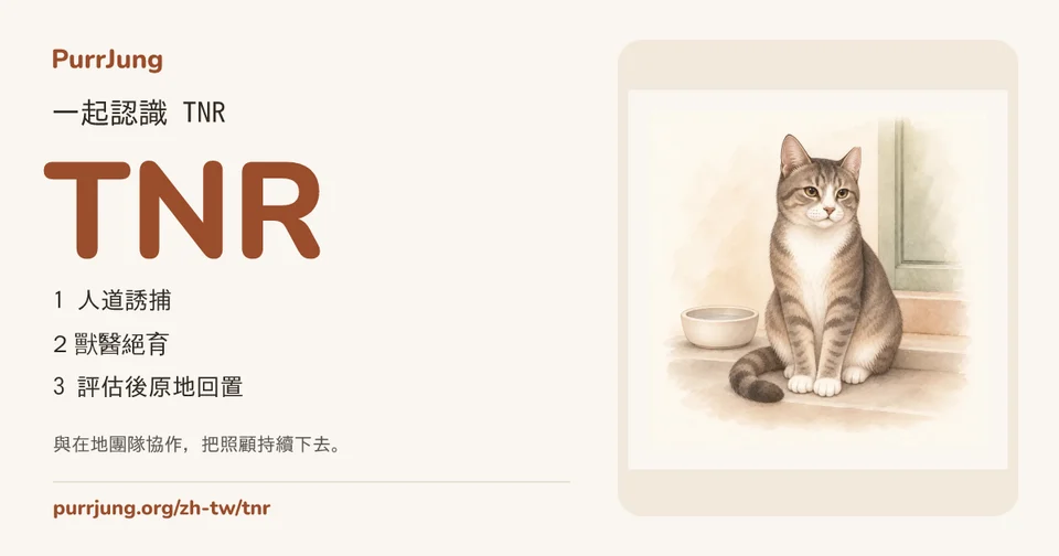 一起認識 TNR
